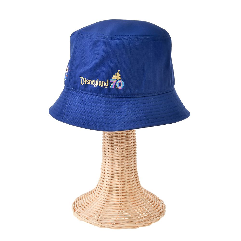 【キッズ向け】ミッキー＆フレンズ 帽子・ハット 56cm DISNEYLAND RESORT 70TH CELEBRATION
