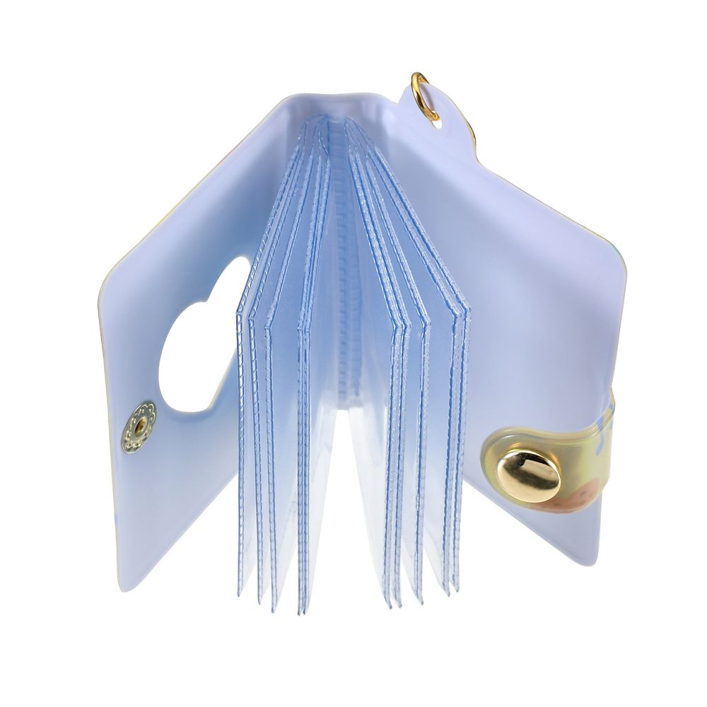 クラリス キーホルダー・キーチェーン ホルダータイプ アルバム クリア窓 オーロラ Key chain Fes