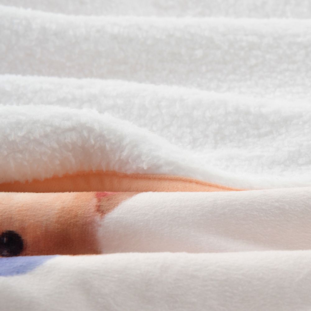 マリー、ベルリオーズ、トゥルーズ おしゃれキャット ブランケット ぬいぐるみ付き NUIGURUMI