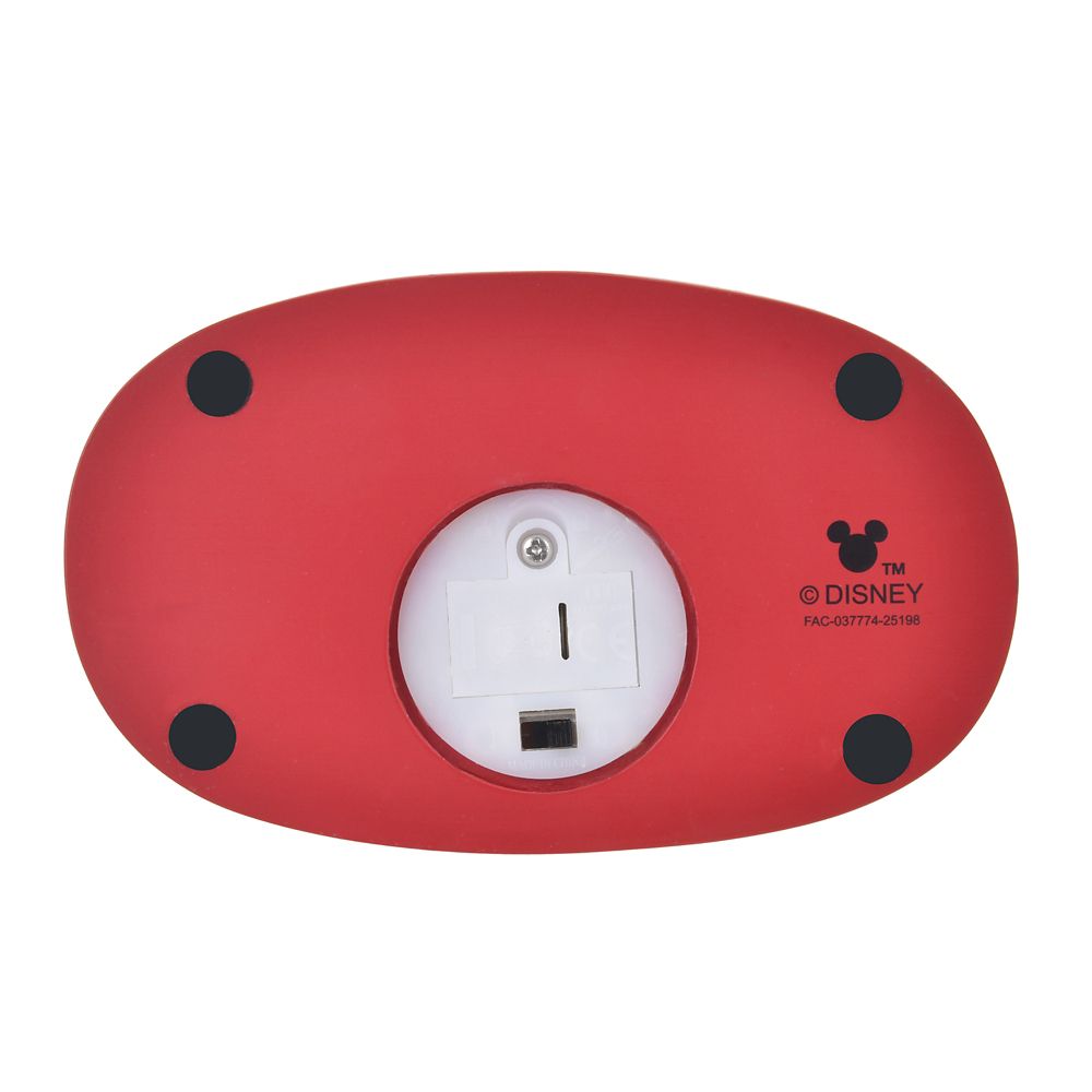 チップ＆デール LEDライト DISNEY CHRISTMAS