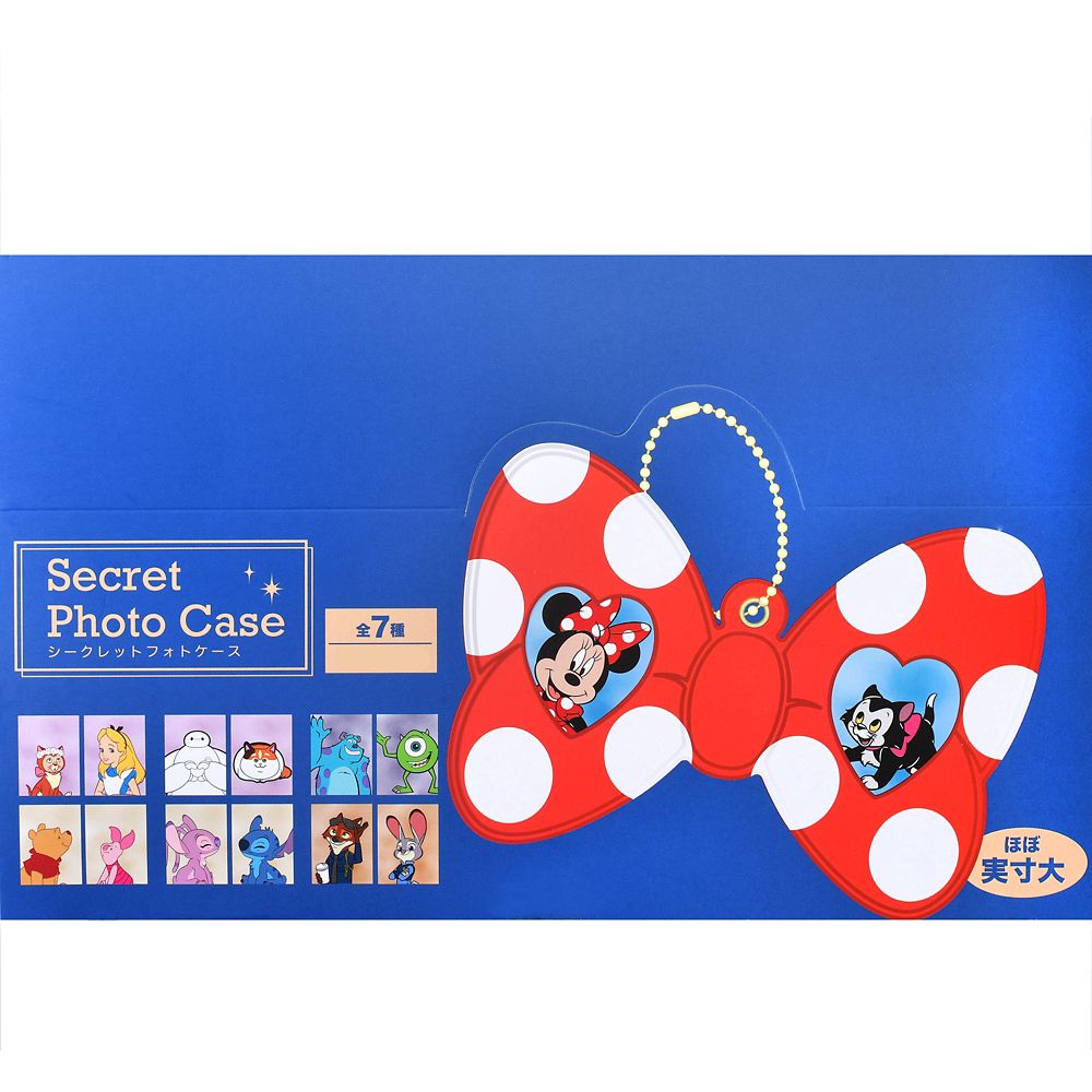 ディズニーキャラクター シークレットカードホルダー カード入り フォトケース