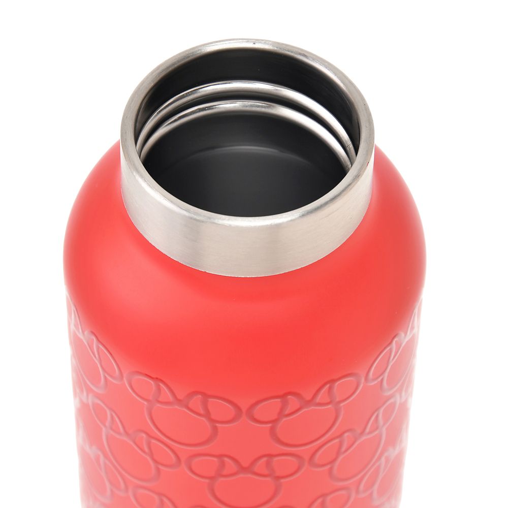 ミニー 水筒・ウォーターボトル ステンレス カラビナ アイコン柄