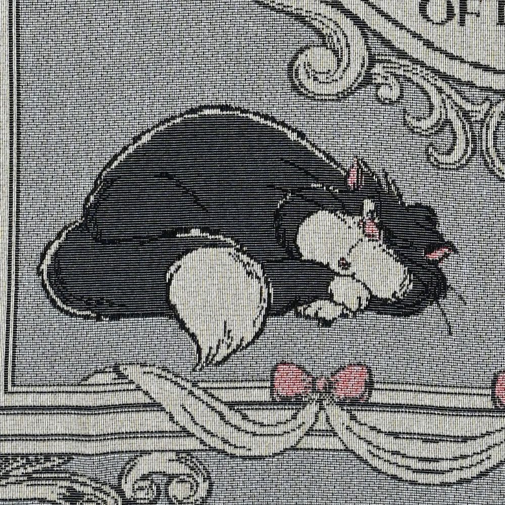 ルシファー、ジャック＆ガス ブランケット 大判 DISNEY CAT DAY 2026