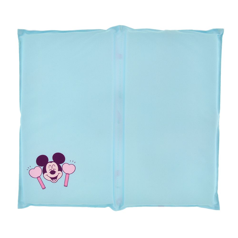 ミニー＆ミッキー シートクッション MINNIE DAY 2026