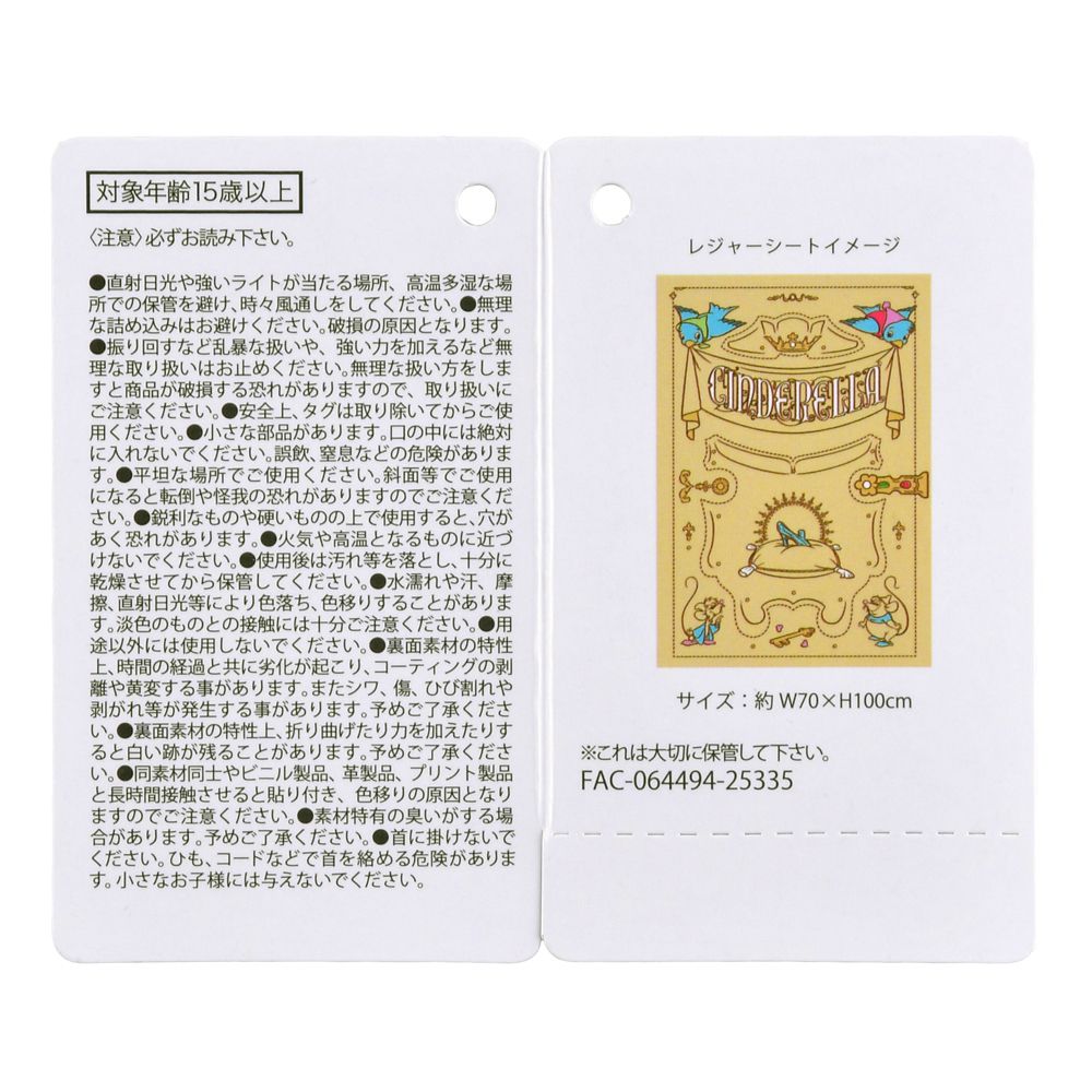 シンデレラ レジャーシート ポーチ入り ストーリーブック  DISNEY LEISURE TIME