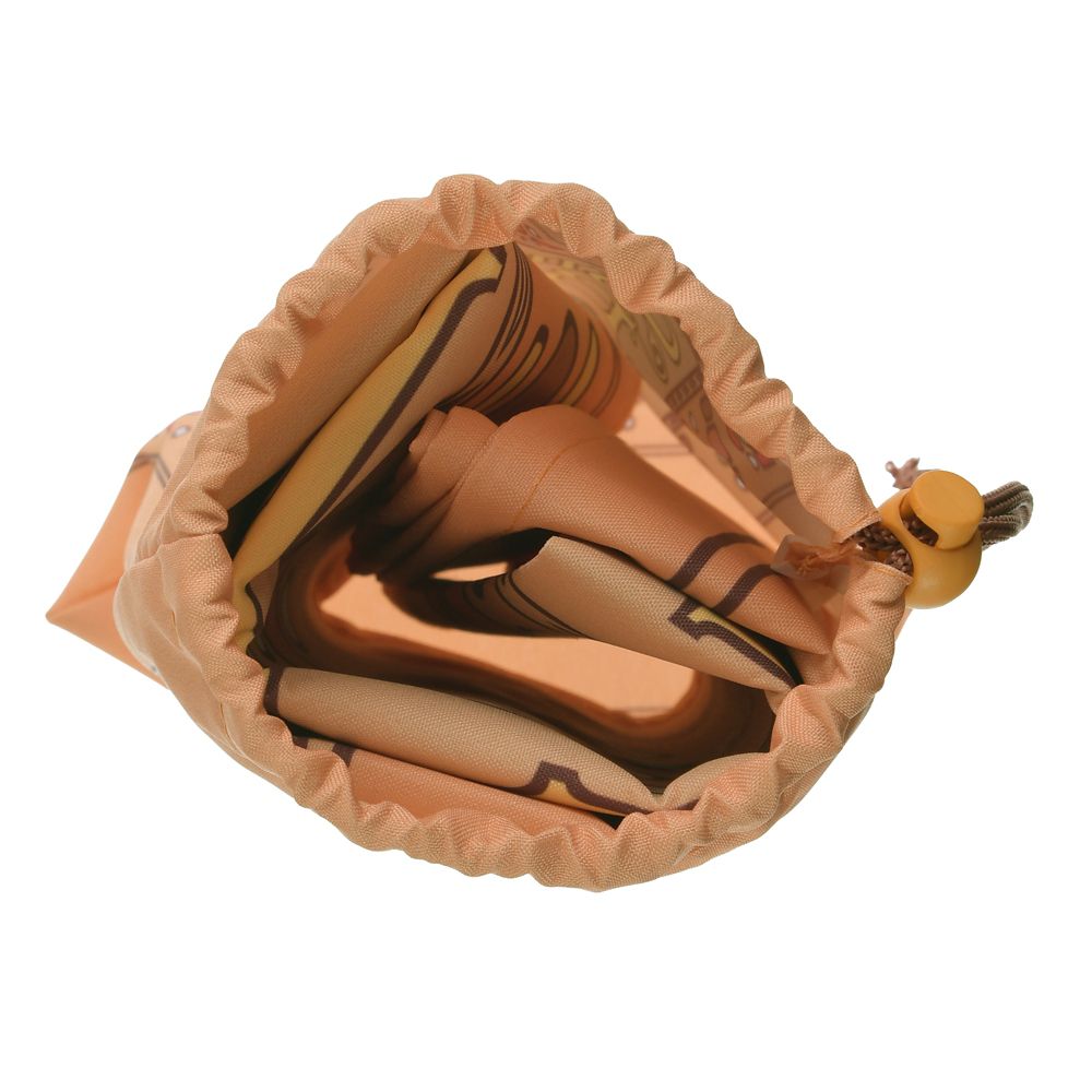 眠れる森の美女 レジャーシート ポーチ入り ストーリーブック DISNEY LEISURE TIME