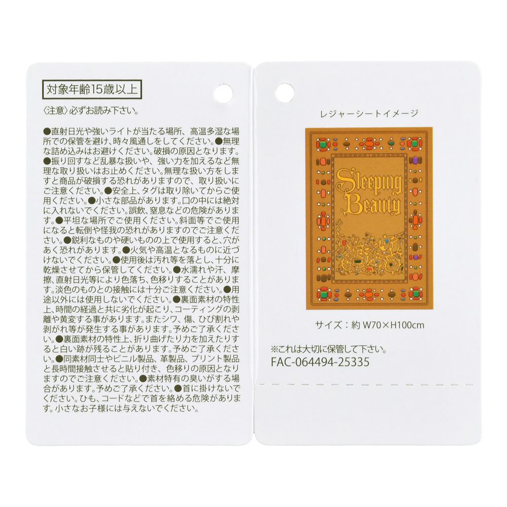 眠れる森の美女 レジャーシート ポーチ入り ストーリーブック DISNEY LEISURE TIME