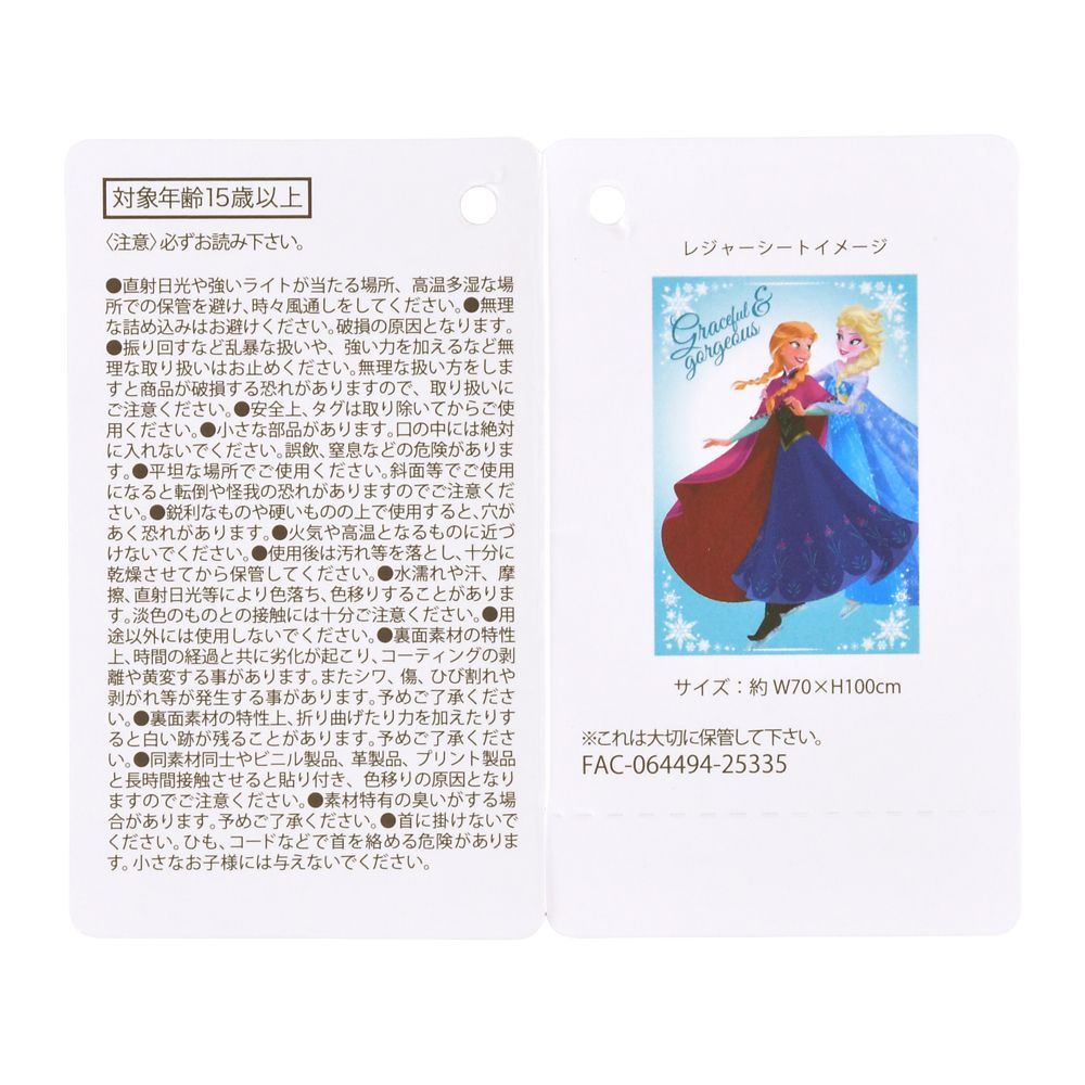 アナ＆エルサ レジャーシート ポーチ入り スケート DISNEY LEISURE TIME