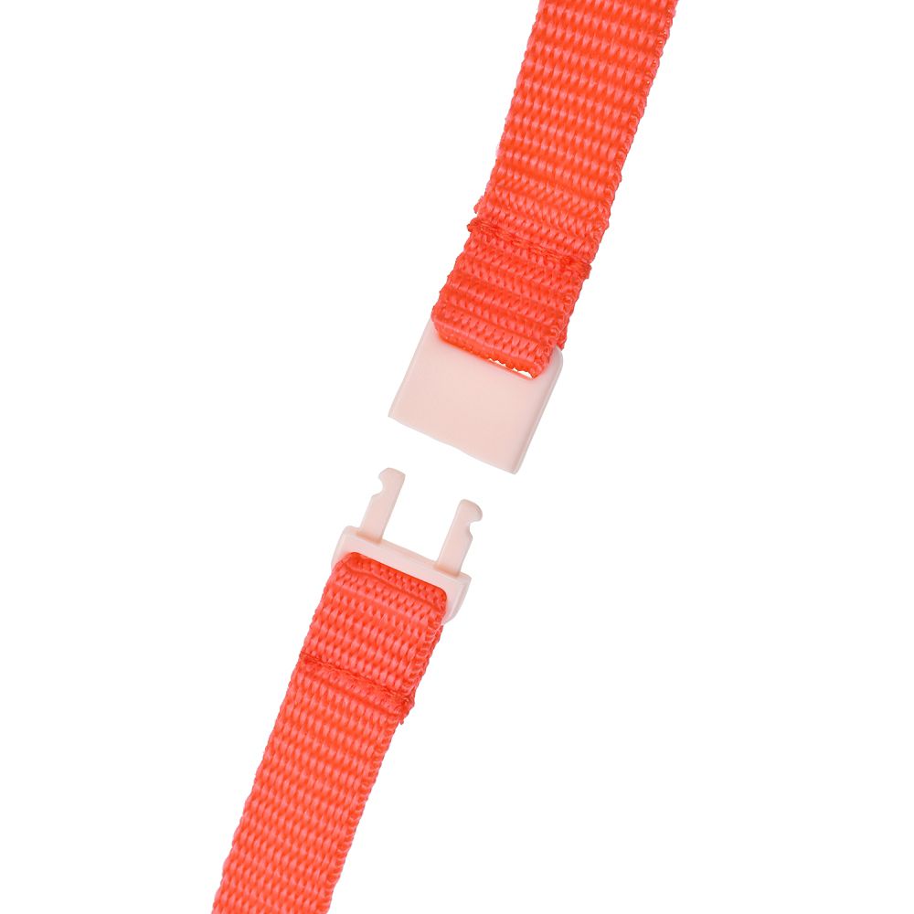 【キッズ用】ミニー ステンレスボトル いちごハグ