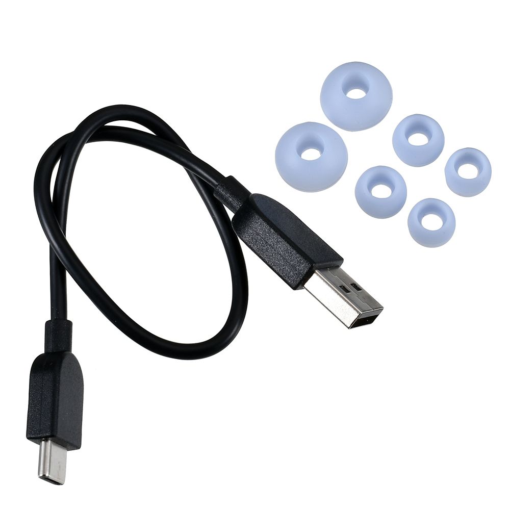 【Victor】アナ＆エルサ 完全ワイヤレスイヤホン Enjoy Music