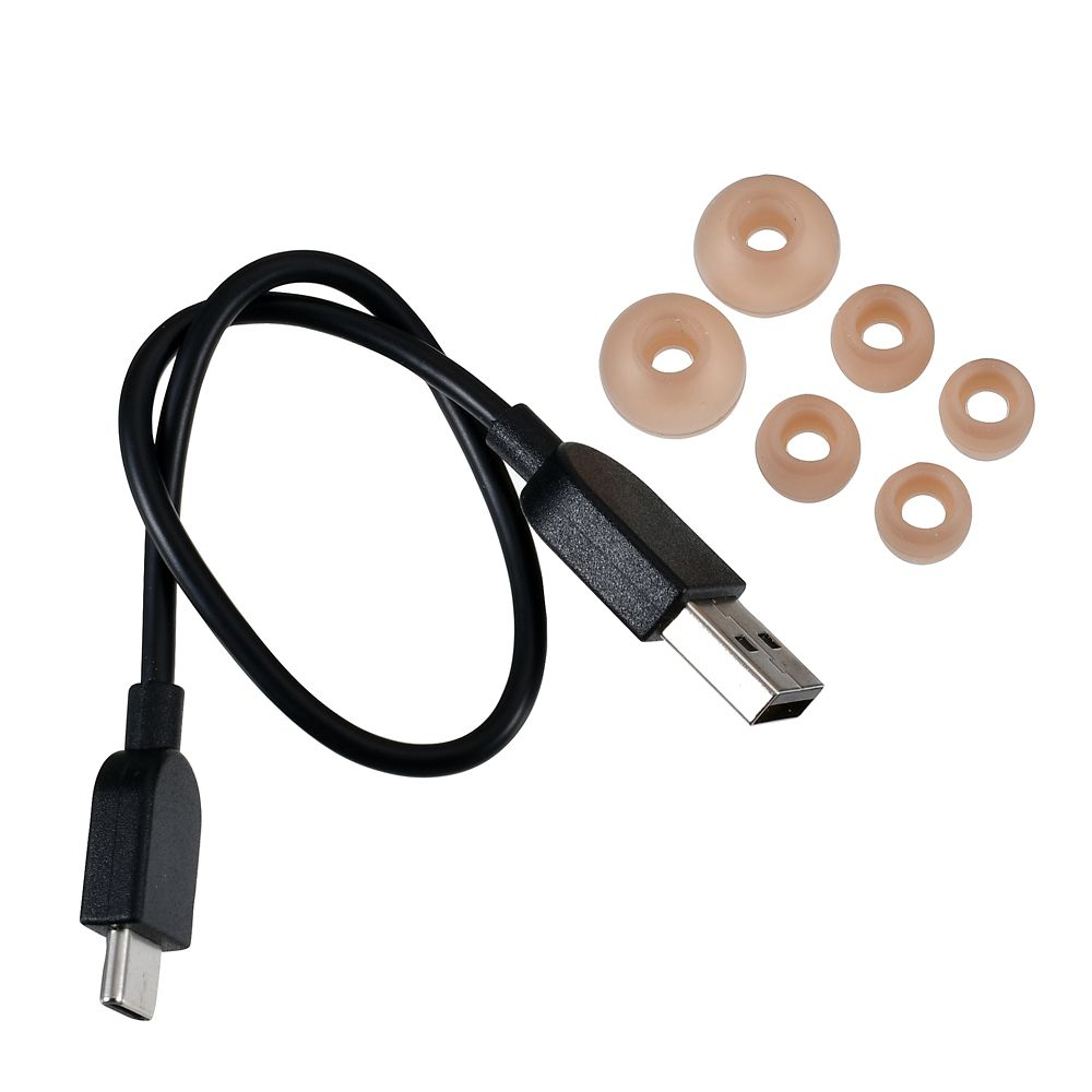 【Victor】チップ＆デール 完全ワイヤレスイヤホン Enjoy Music