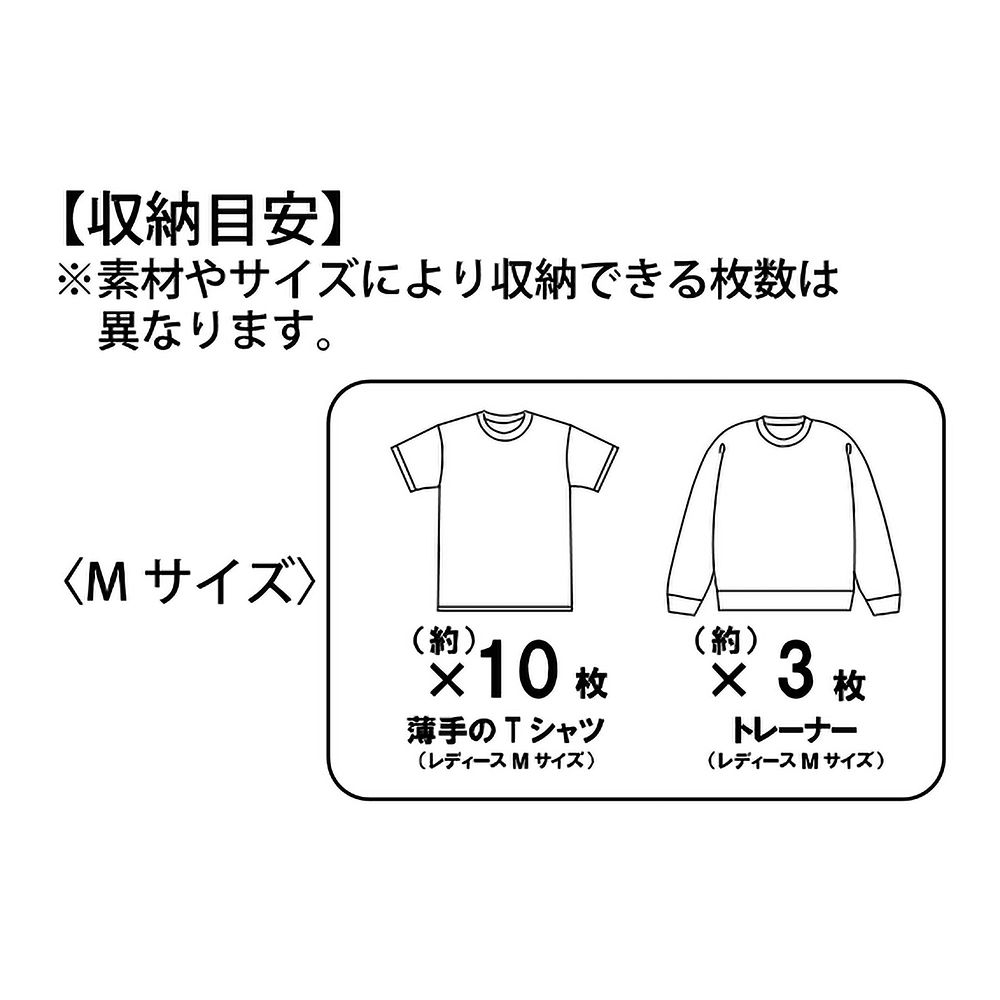 ミッキー 衣類圧縮収納ポーチ(M) 2ルーム 折りたたみ式 Disney Magical Travel