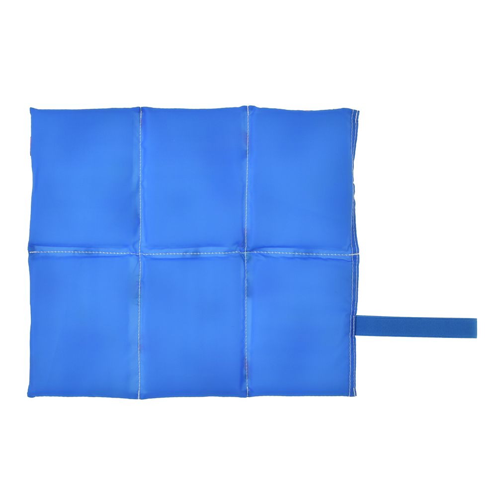 ミッキー＆フレンズ シートクッション ポーチ入り カラビナ付き DISNEY LEISURE TIME