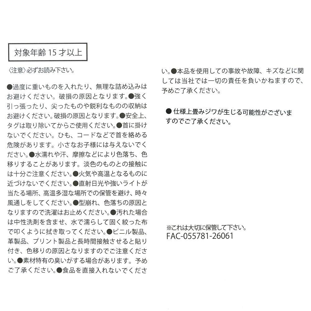 ミニー＆デイジー クーラーバッグ DISNEY LEISURE TIME