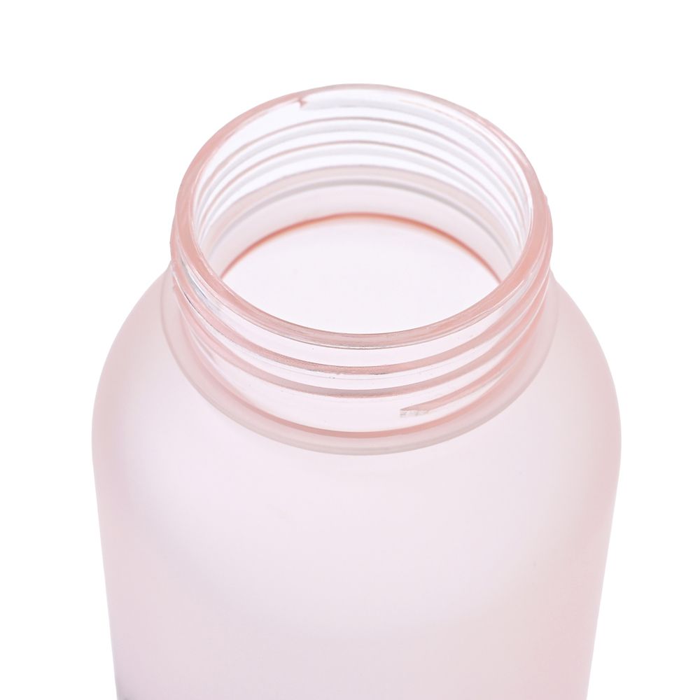 ミニー＆フィガロ 水筒・ウォーターボトル フロスト Drinkware