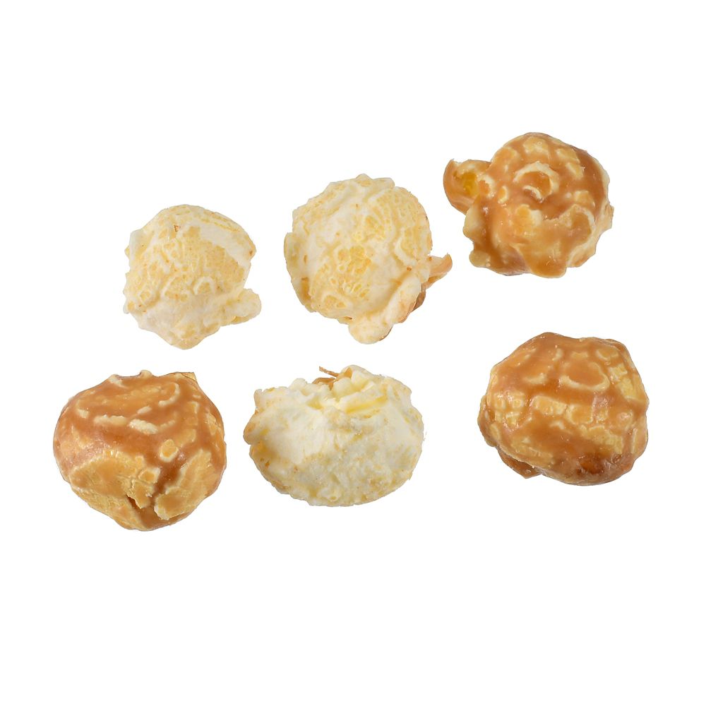 【再入荷】【HillValley】ドナルド ポップコーン ソルテッドキャラメル