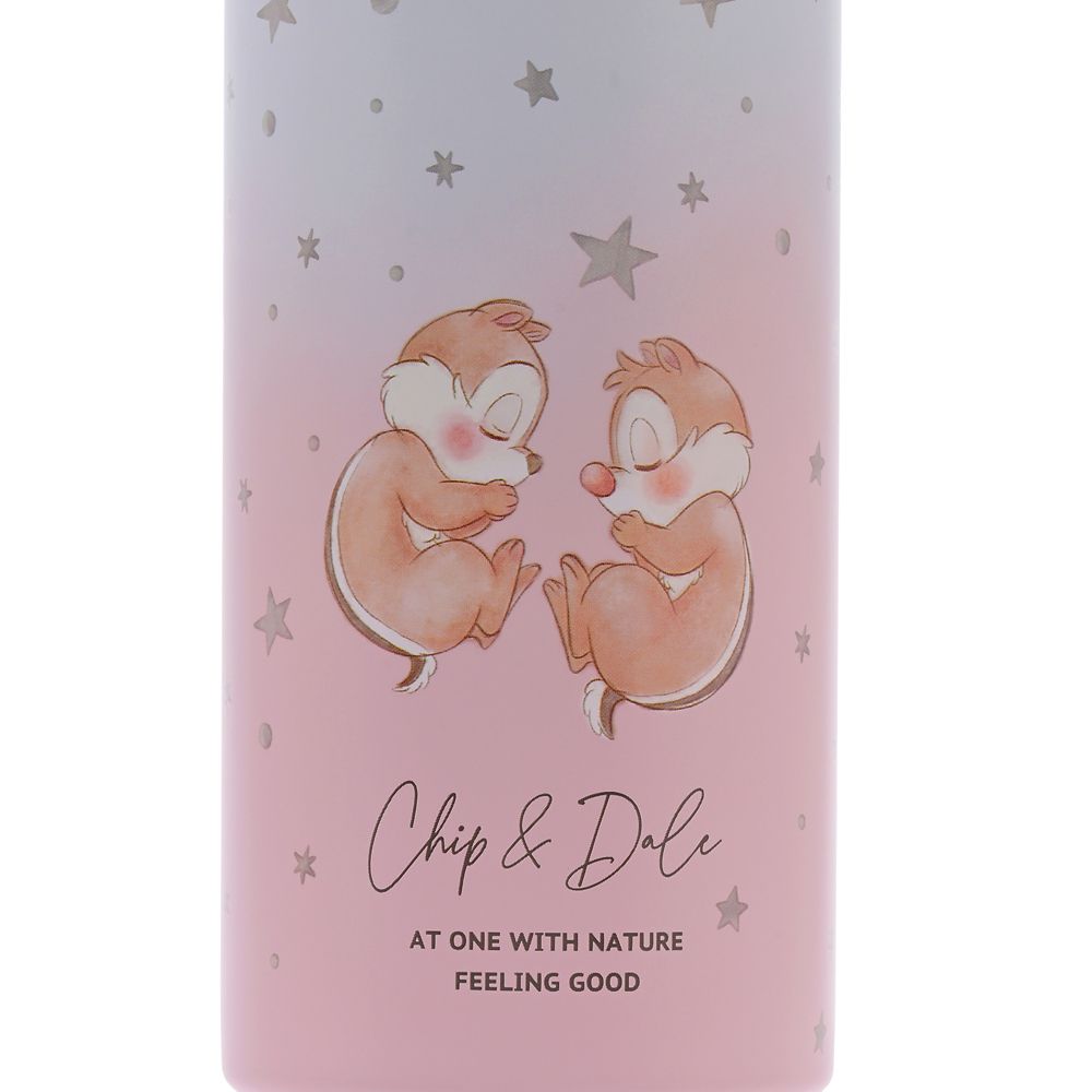 チップ＆デール ステンレスボトル good sleep Drinkware