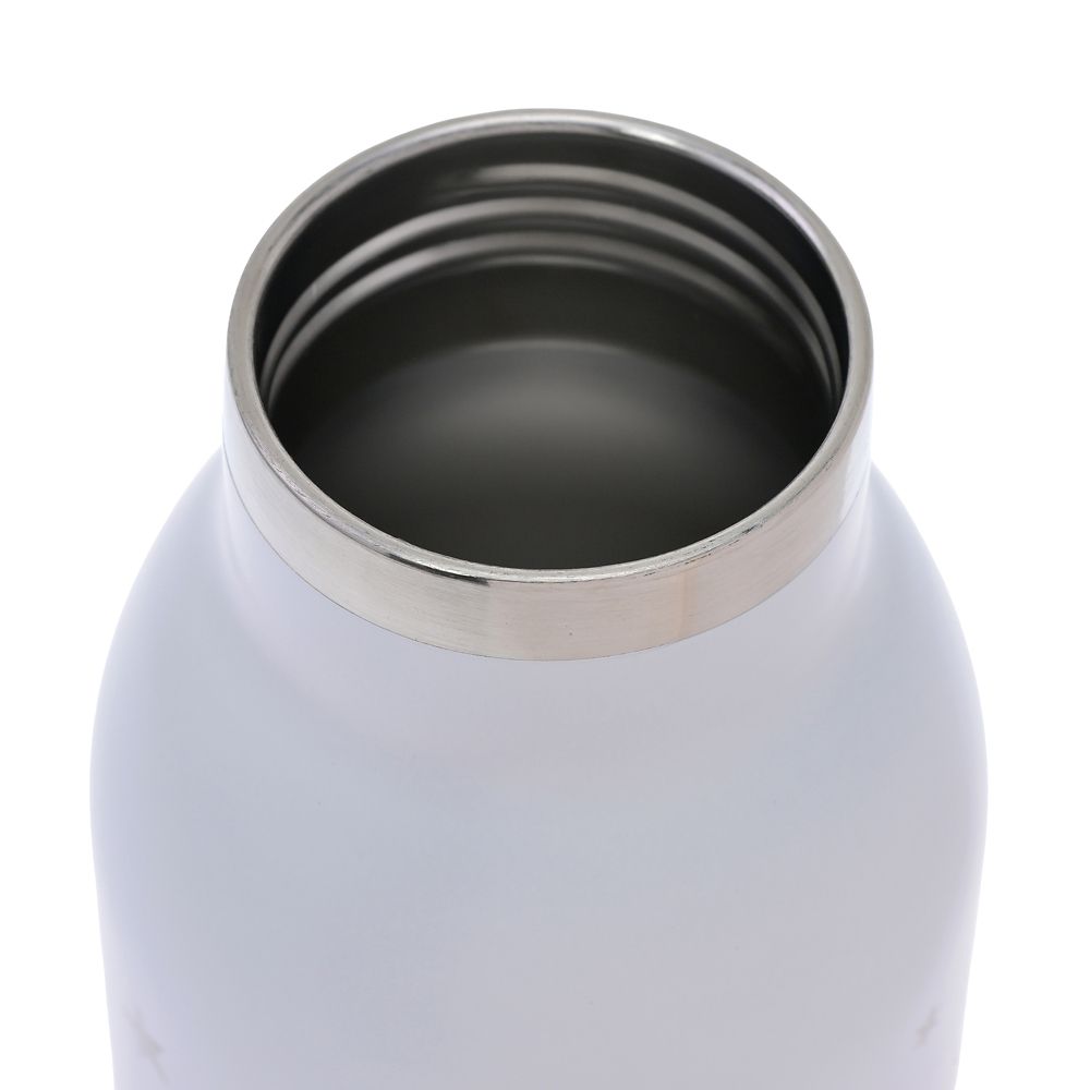 チップ＆デール ステンレスボトル good sleep Drinkware