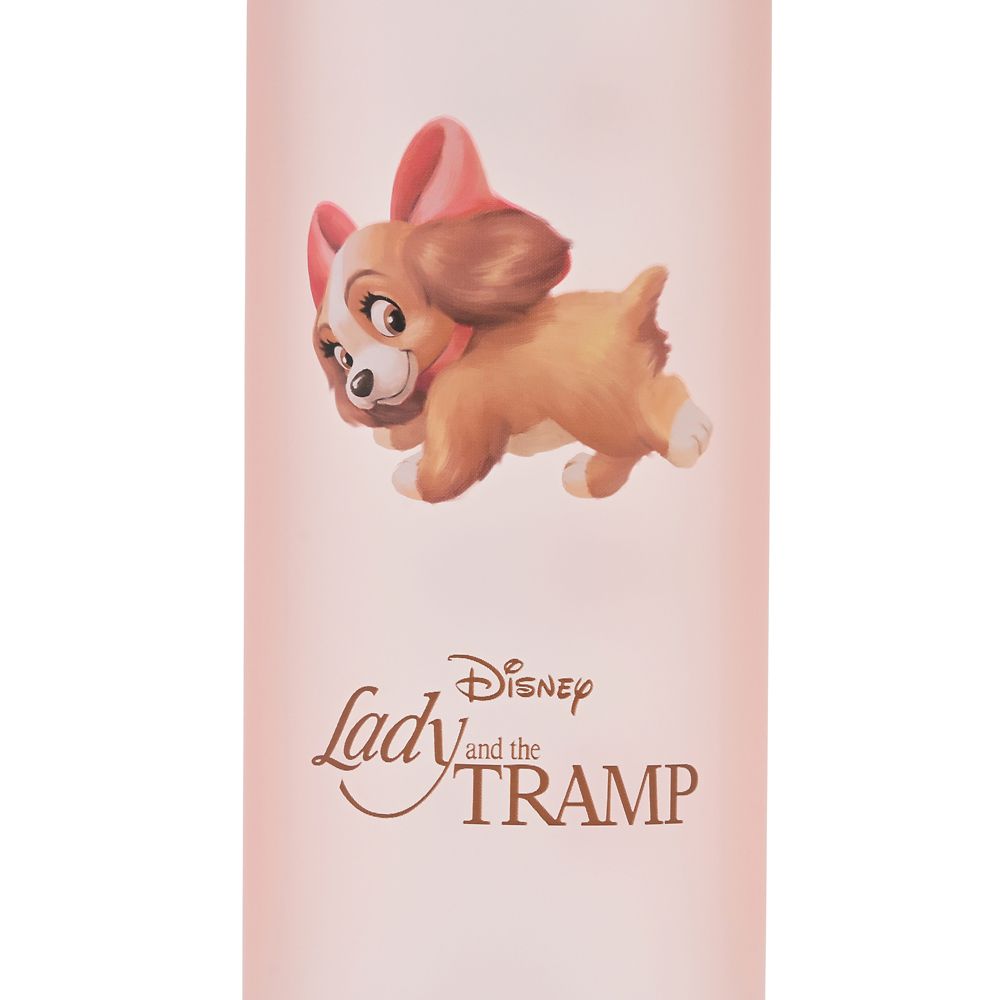 レディ 水筒・ウォーターボトル フロスト レトロクラシック Drinkware