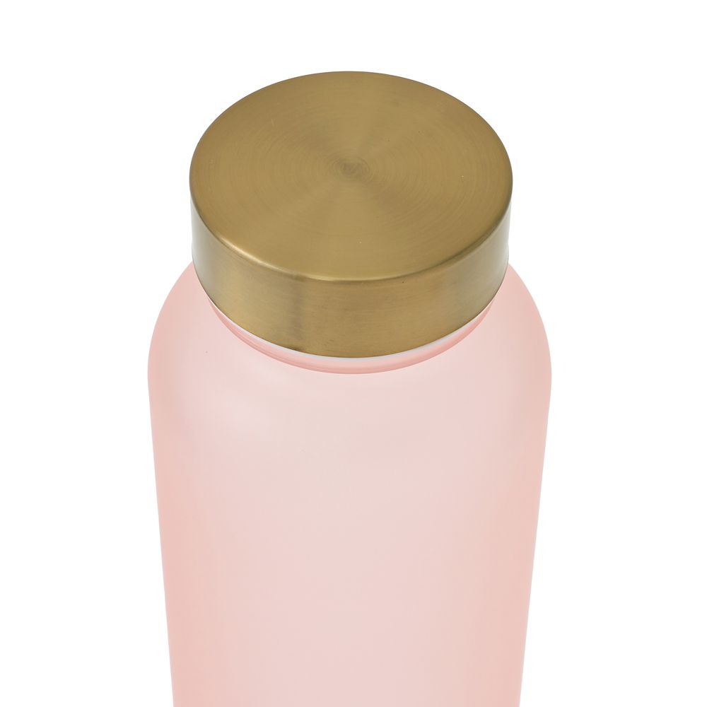 レディ 水筒・ウォーターボトル フロスト レトロクラシック Drinkware