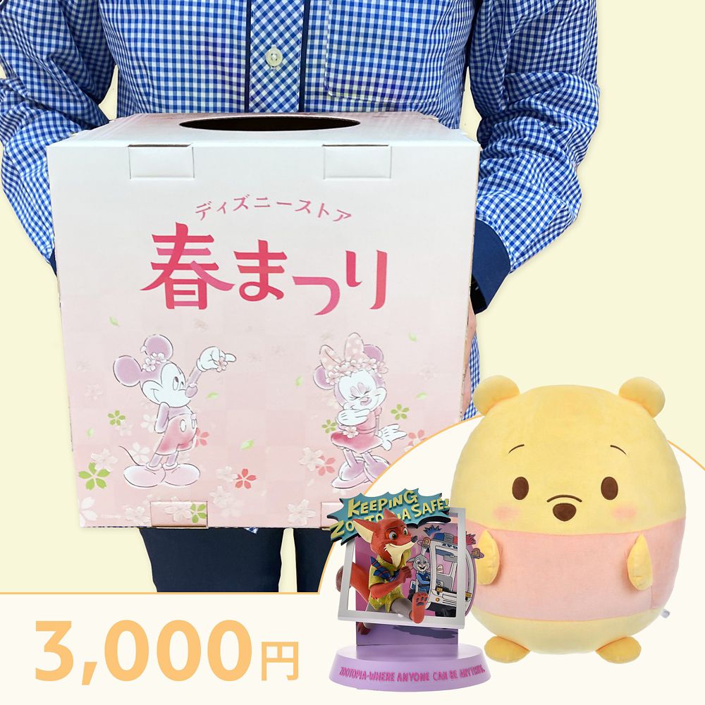【ディズニーストア.jp限定】ディズニーストア春まつりくじ 3000円