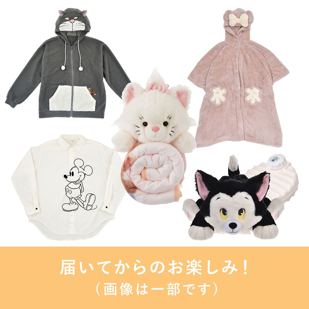 【ディズニーストア.jp限定】ディズニーストア春まつりくじ 3000円