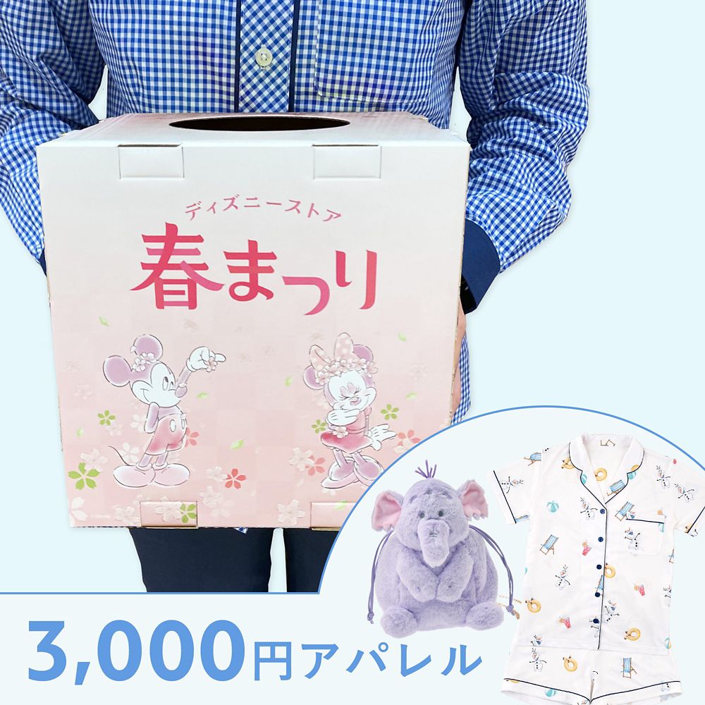 【ディズニーストア.jp限定】ディズニーストア春まつりくじ アパレル 3000円