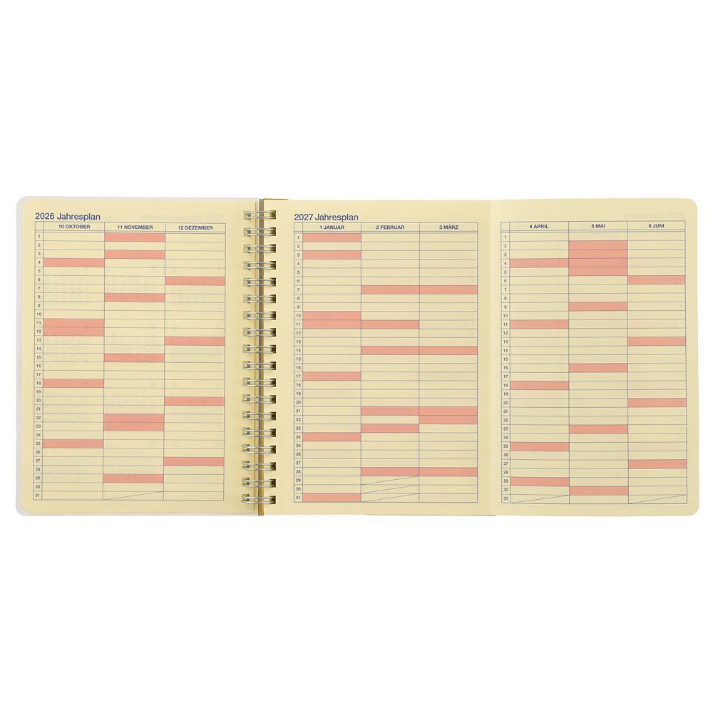 【デルフォニックス】リトル・マーメイド Rollbahn Diary L 手帳・スケジュール帳 CALENDAR ＆ ORGANIZER 2027