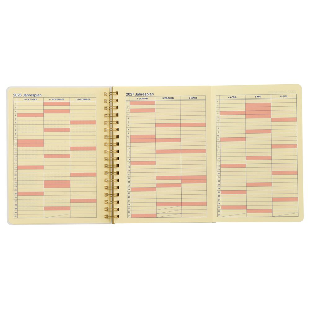 【デルフォニックス】ティム・バートン ナイトメアー・ビフォア・クリスマス Rollbahn Diary L 手帳・スケジュール帳 CALENDAR ＆ ORGANIZER 2027