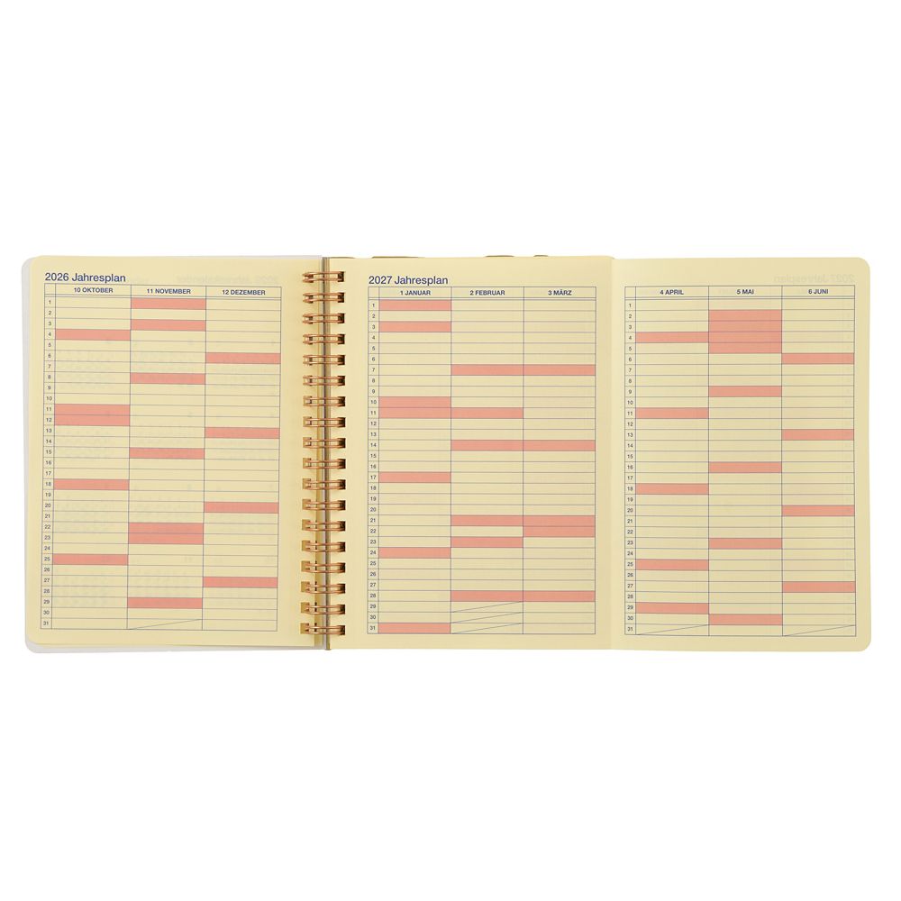 【デルフォニックス】ミニー＆フレンズ Rollbahn Diary L 手帳・スケジュール帳 CALENDAR ＆ ORGANIZER 2027