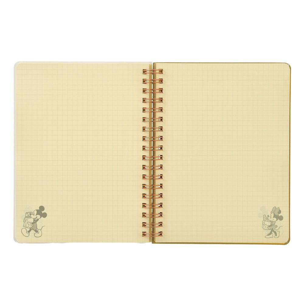 【デルフォニックス】ミニー＆フレンズ Rollbahn Diary L 手帳・スケジュール帳 CALENDAR ＆ ORGANIZER 2027