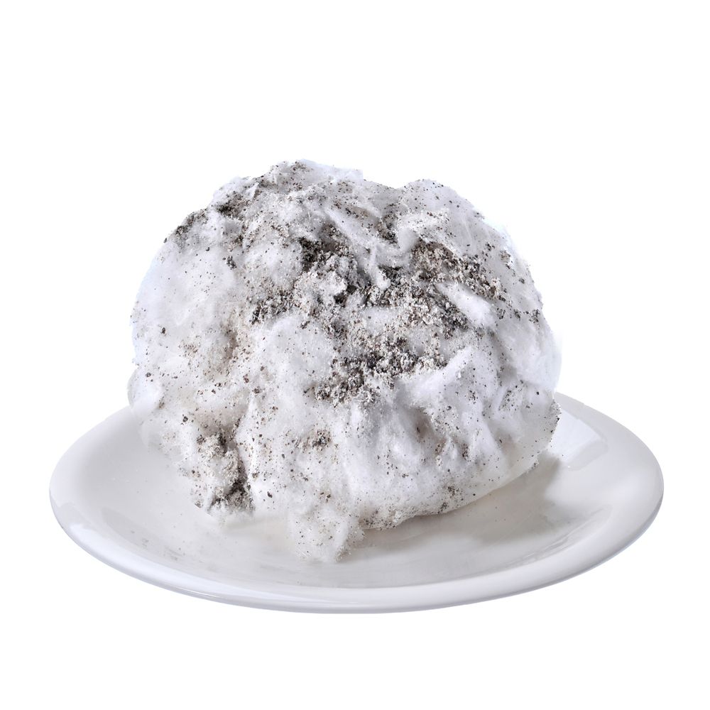 レディ コットンキャンディー チョコレートクッキー Ever Green