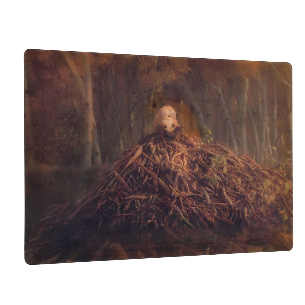 ローフ ポストカード 私がビーバーになる時 Lenticular