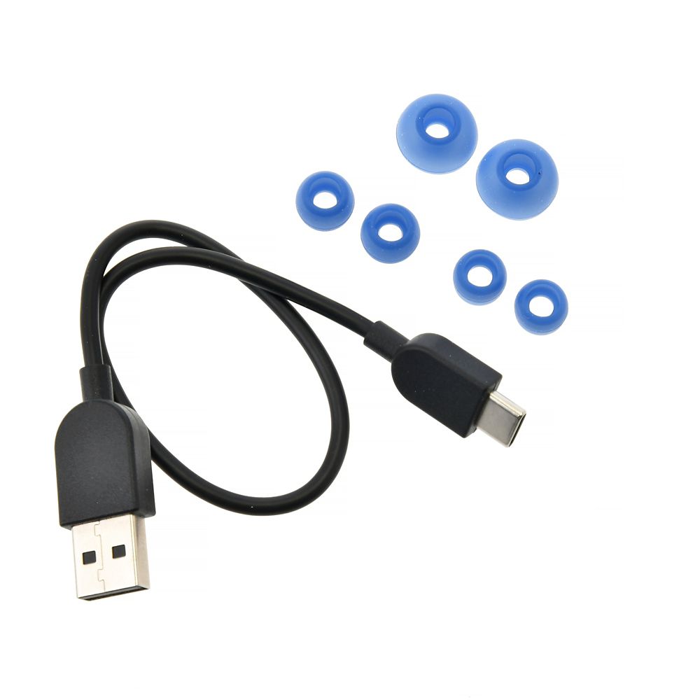 【再入荷】【Victor】ドナルド 完全ワイヤレスイヤホン Enjoy Music