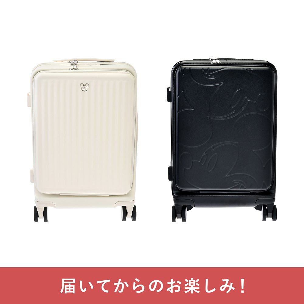 【ディズニーストア.jp限定】ディズニーストア夏祭りくじ 10000円