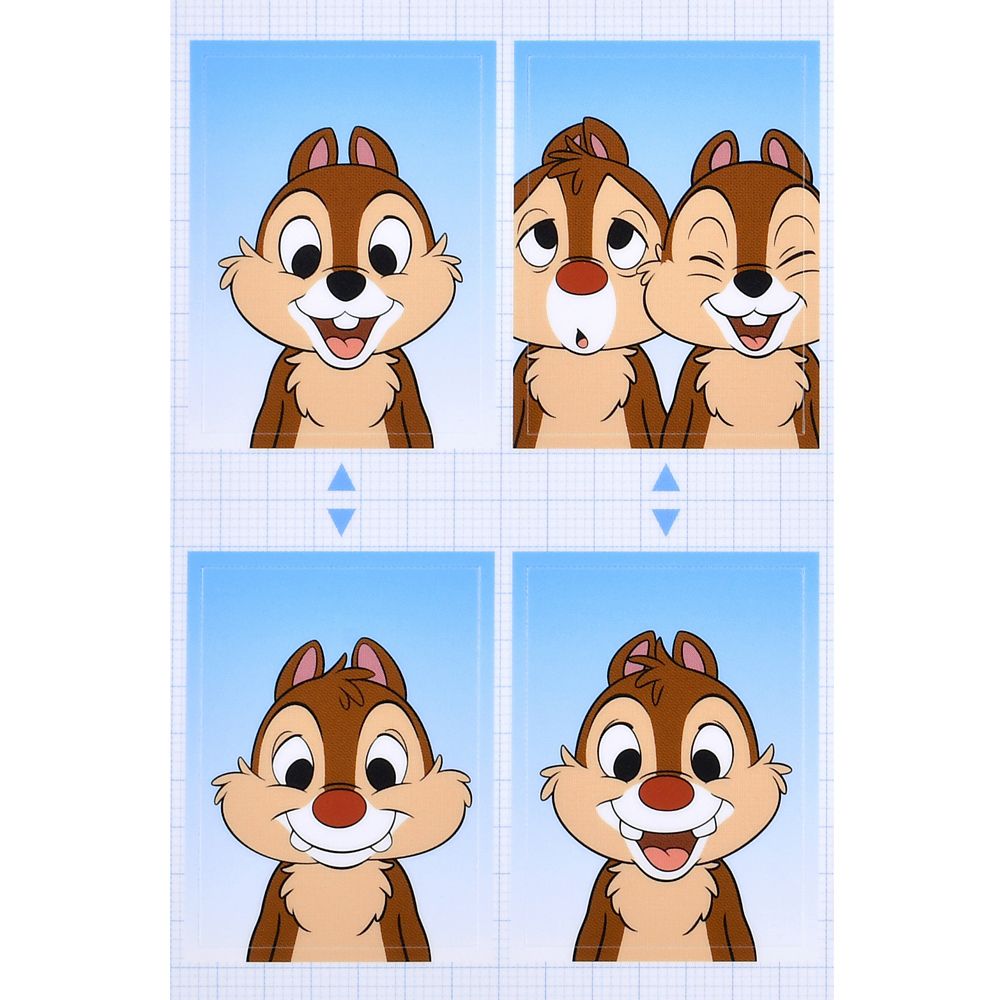 【再入荷】チップ＆デール シール・ステッカー 証明写真風 Sticker Collection