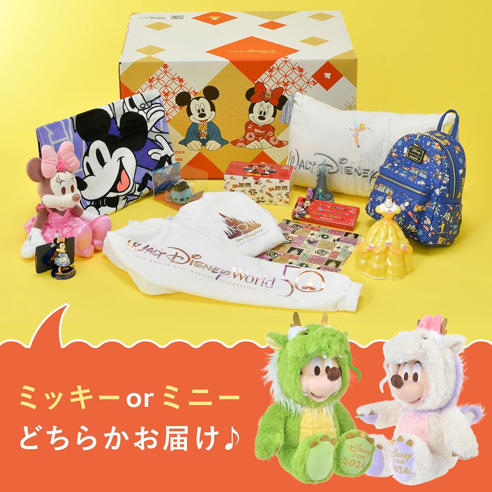 【予約】ラッキーボックス 2024 (福袋) 10000円