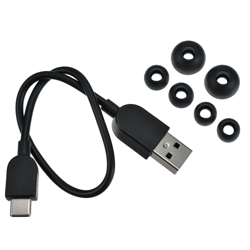 【再入荷】【Victor】ミッキー 完全ワイヤレスイヤホン Enjoy Music