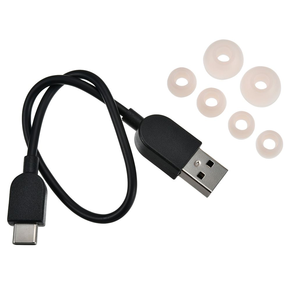 【再入荷】【Victor】ミニー 完全ワイヤレスイヤホン Enjoy Music