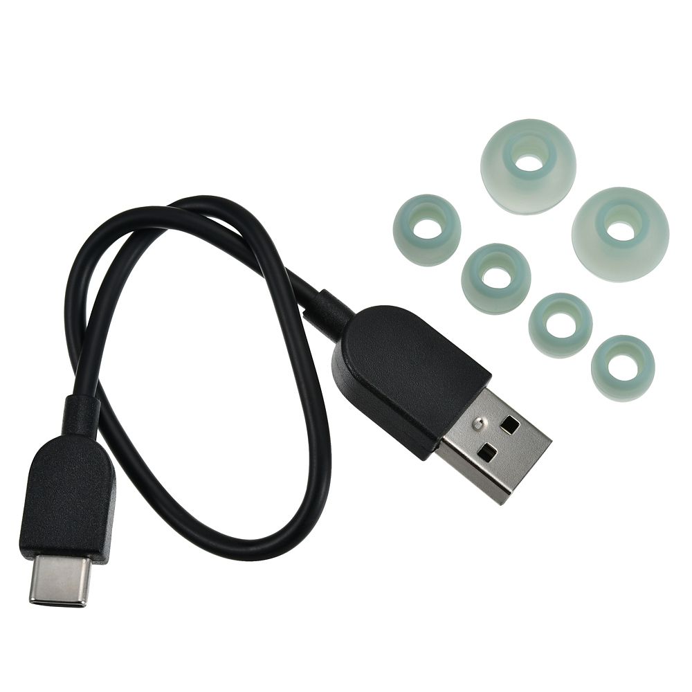 【Victor】グーフィー 完全ワイヤレスイヤホン Enjoy Music