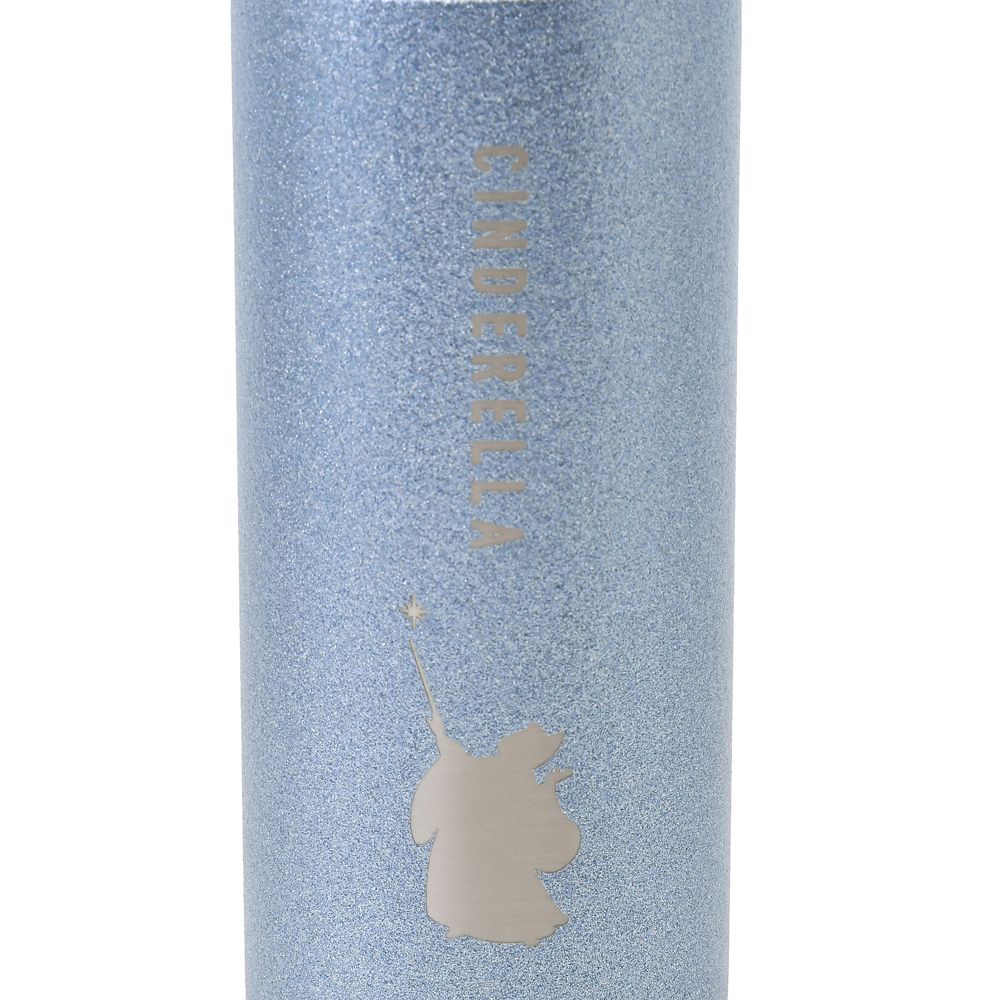 【再入荷】シンデレラ＆妖精 ステンレスボトル Bottle Collection Drinkware