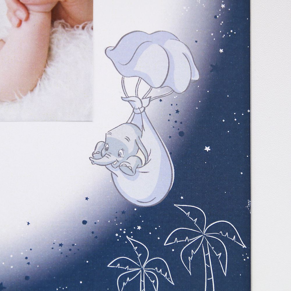 【受注生産】ネームインポエム出産祝い1人用／写真貼付けスペース有り たからもの（ダンボ）