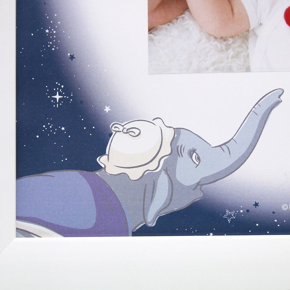 【受注生産】ネームインポエム出産祝い1人用／写真貼付けスペース有り たからもの（ダンボ）