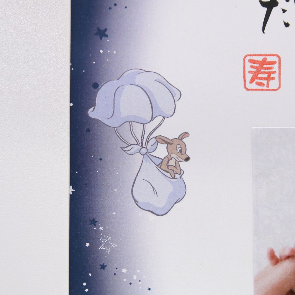 【受注生産】ネームインポエム出産祝い1人用／写真貼付けスペース有り たからもの（ダンボ）