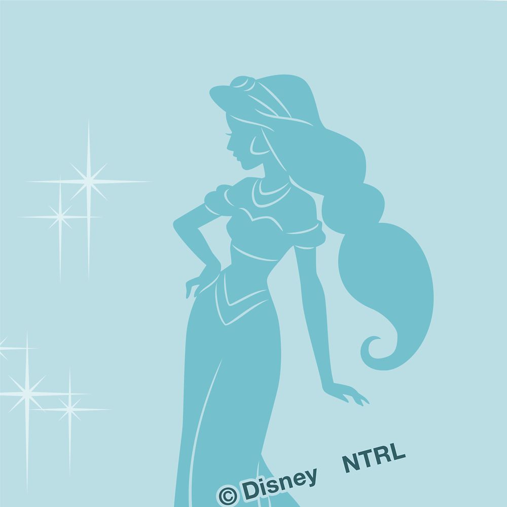 公式 ショップディズニー 布マスク ジャスミン