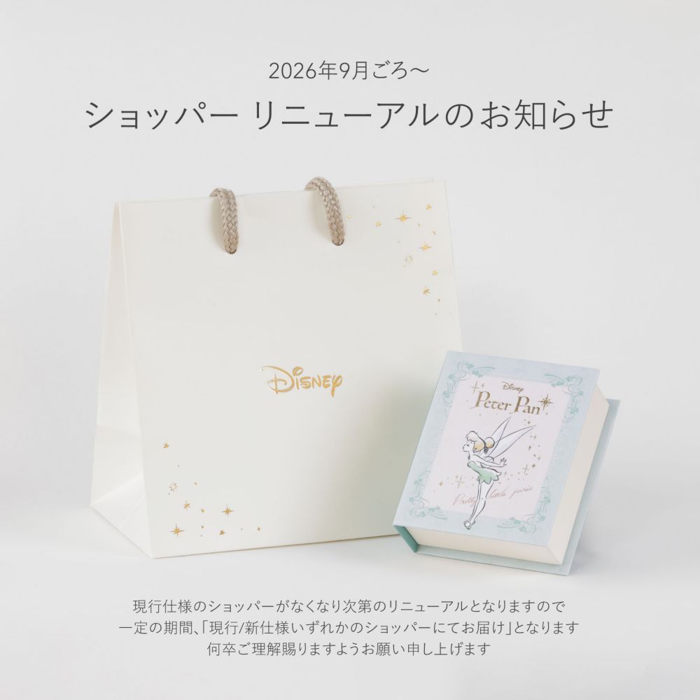 ピーターパン　ティンカーベル　ペンダント　ネックレス　シルバー【数量限定ケース付き】