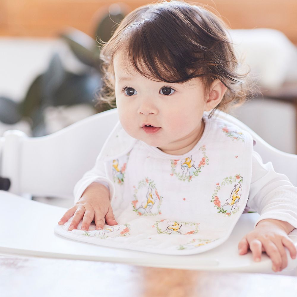 【aden + anais】alice in wonderland 3-pack classic snap bibs