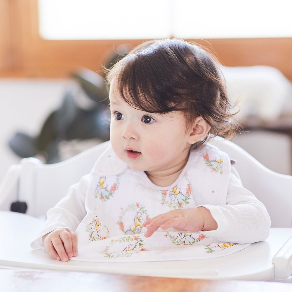 【aden + anais】alice in wonderland 3-pack classic snap bibs