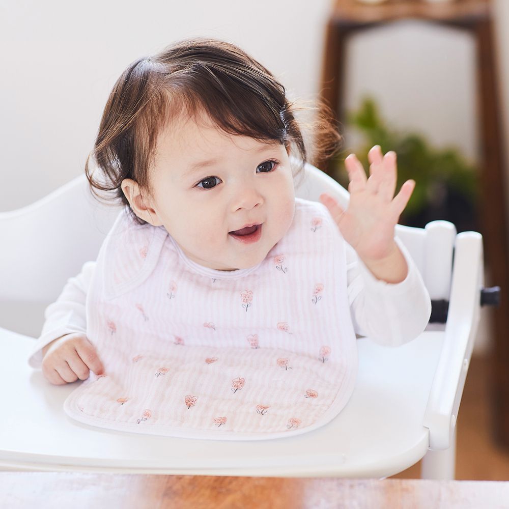 【aden + anais】alice in wonderland 3-pack classic snap bibs