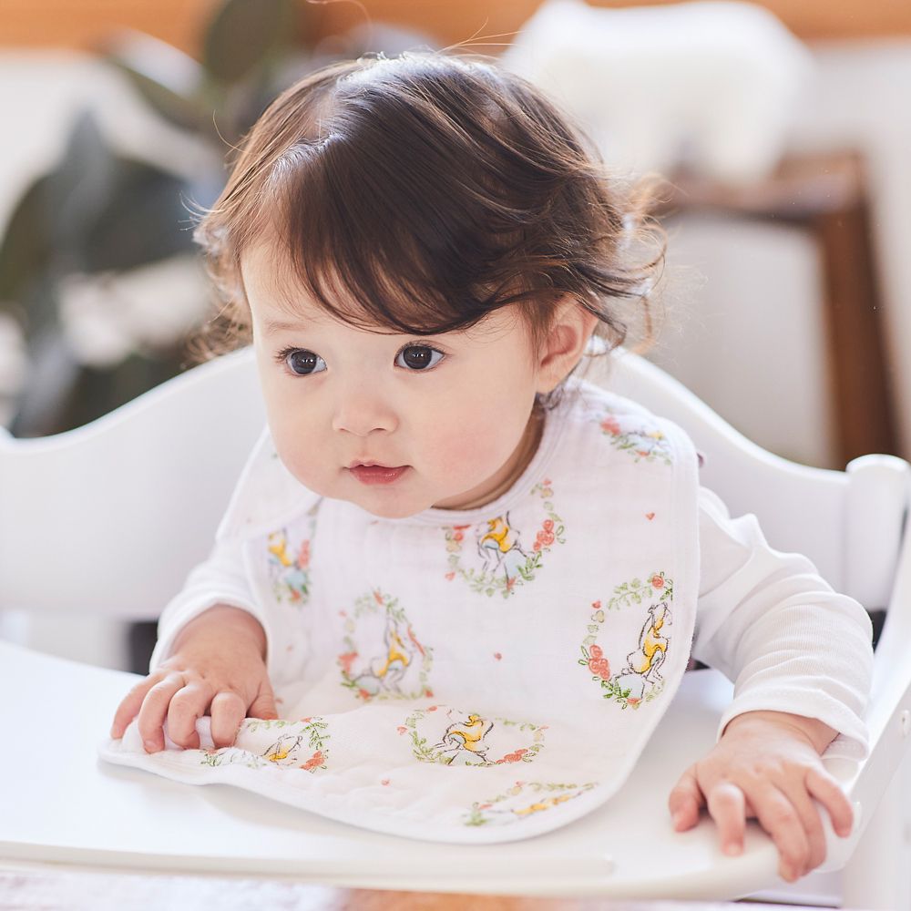 【aden + anais】alice in wonderland 3-pack classic snap bibs